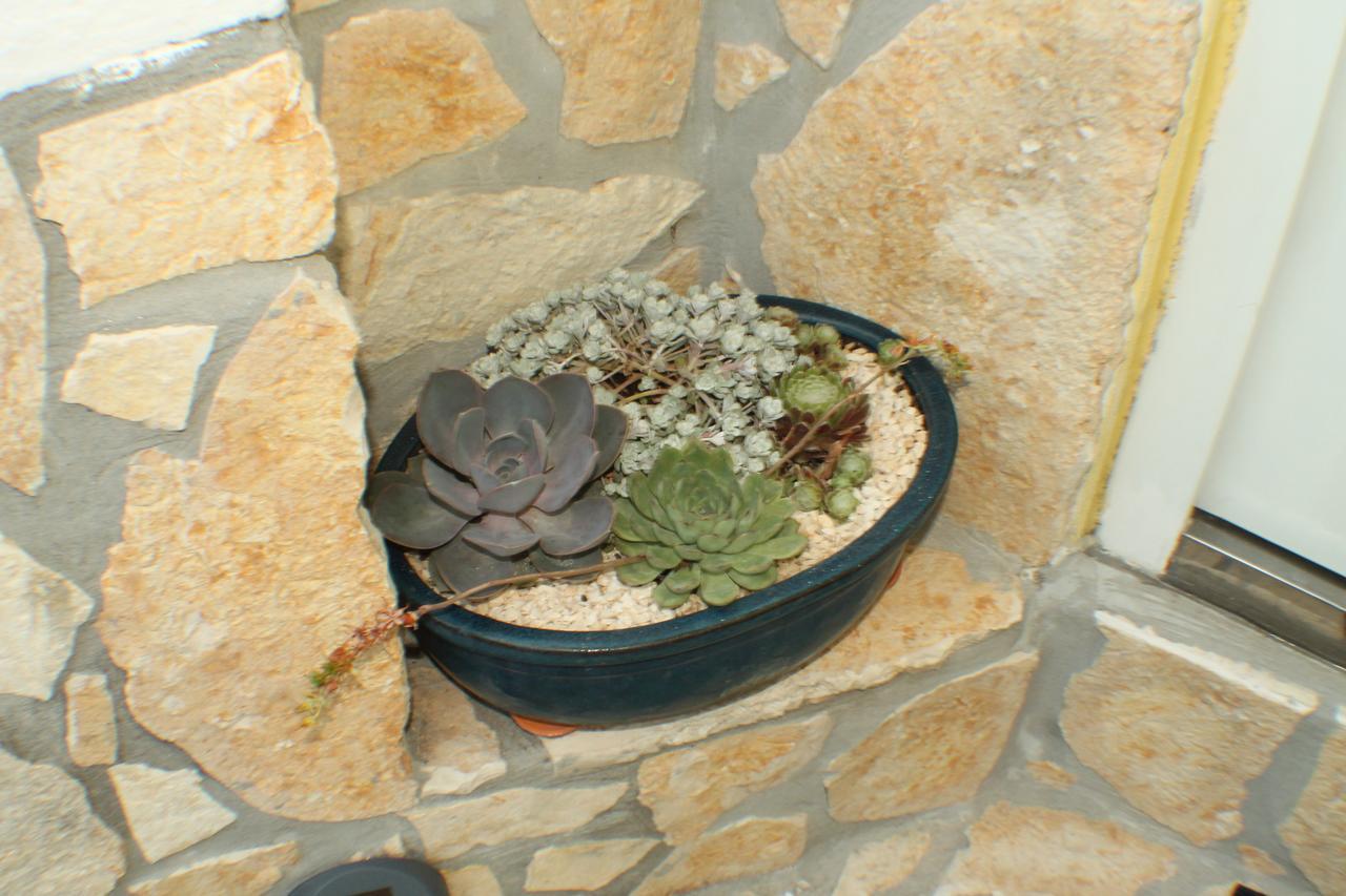Apartment Amorino